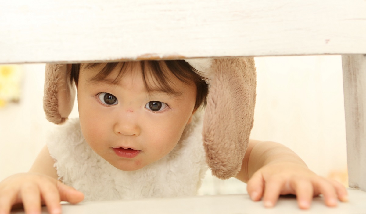 スライドショー表示領域1