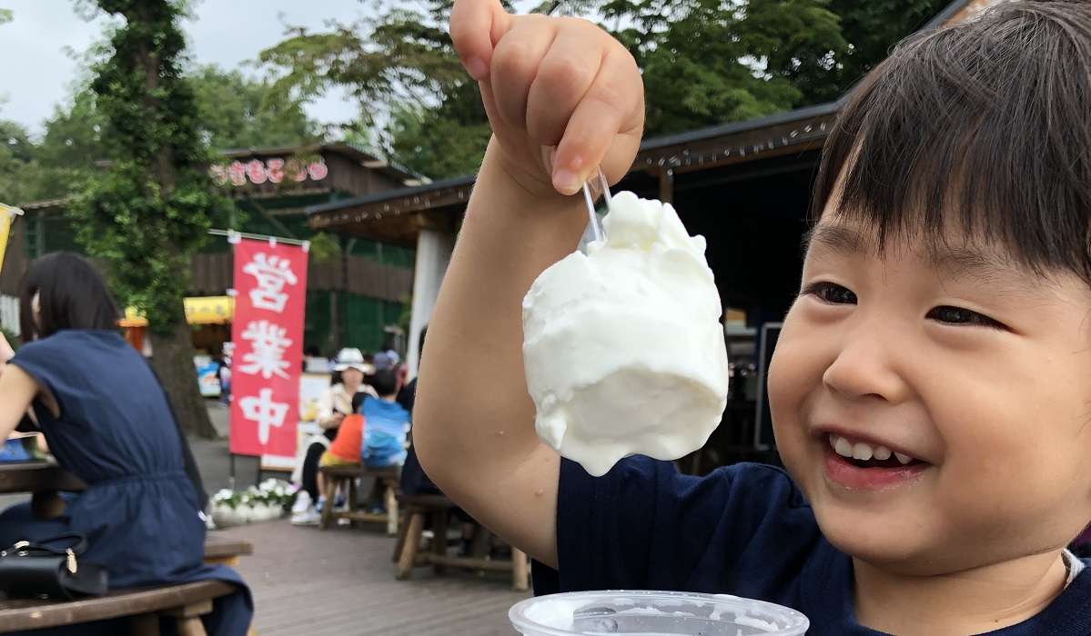 スライドショー表示領域3