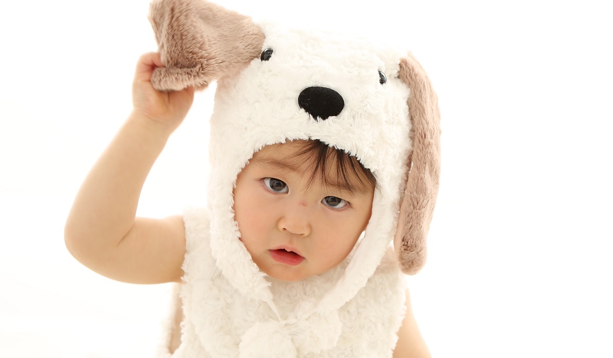 スライドショー表示領域5